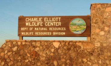 Youth Hunt & Learn | Charlie Elliott Wildlife Center