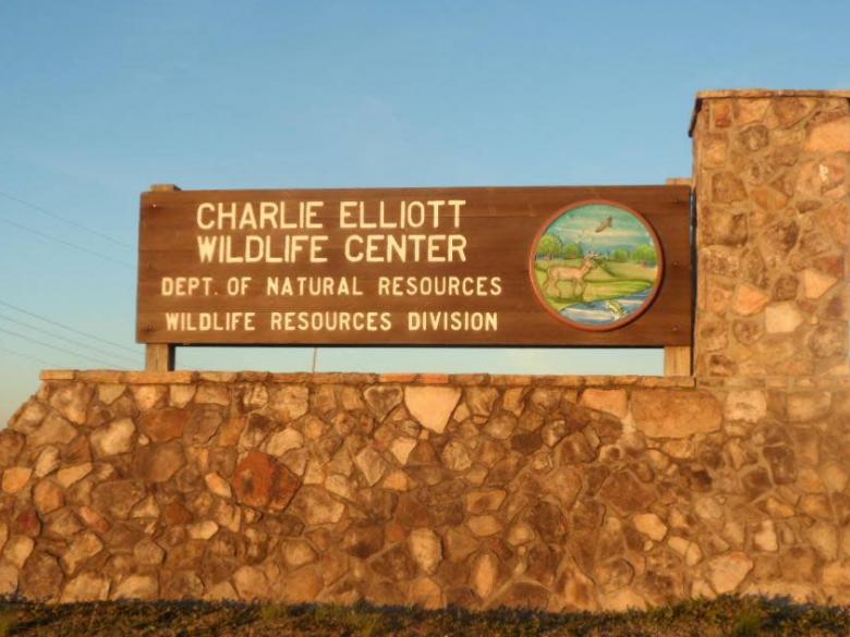 Youth Hunt & Learn | Charlie Elliott Wildlife Center